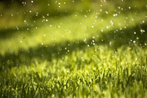 Why Synthetic Grass Is Perfect For The Rainy Season Oc Turf And Putting Greens