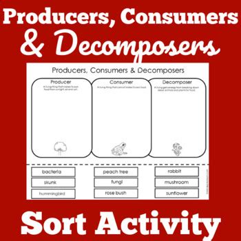 PRODUCERS CONSUMERS DECOMPOSERS Worksheet Activity 1st 2nd 3rd Grade