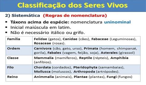 Classifica O E Nomenclatura Biol Gica Dos Seres Vivos