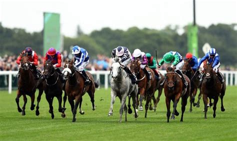 Horse Racing Tips Latest Best Bets From Royal Ascot And Beyond