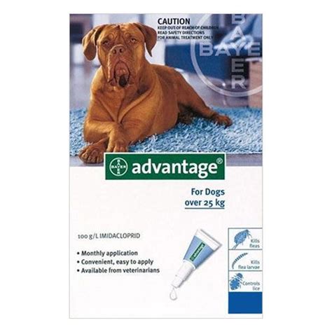 Buy Discount Advantage Flea And Tick For Dogs Advantage For Dogs