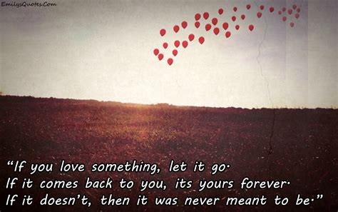 25 Sad Quotes About Letting Go | Funlava.com