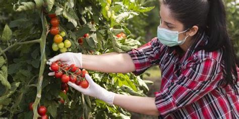 Programa Mejor Prevenir Medidas Para El Sector Agropecuario Ante La