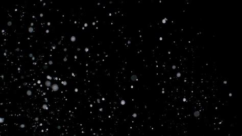 Transparent Snow Falling Stock Video Footage for Free Download