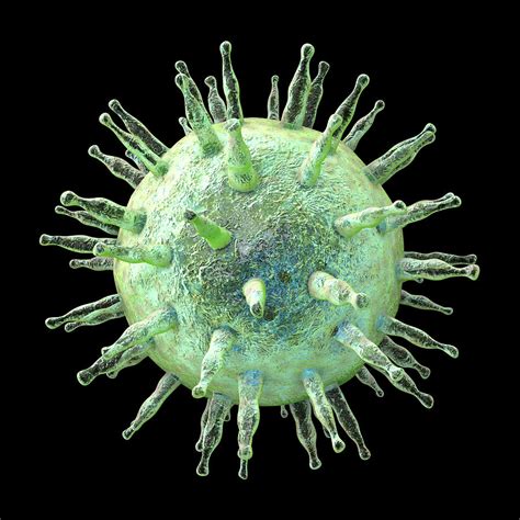 Epstein Barr Virus By Kateryna Kon Science Photo Library