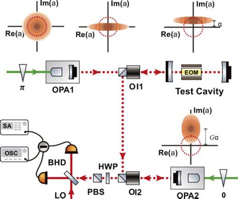 Schematic Diagram Of Loss Tolerant And Quantum Enhanced Interferometer