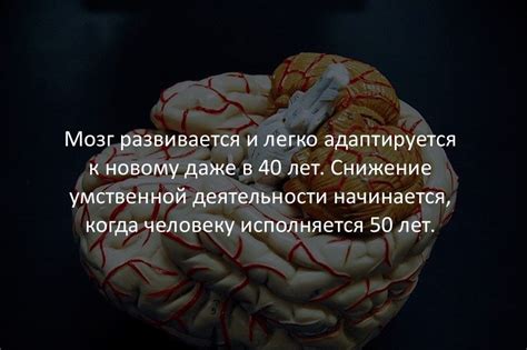Интересные факты в картинках.