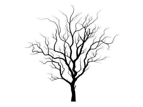 Black Branch Tree Or Naked Trees Silhouettes Hand Drawn Isolated Illustrations Tree Symbol
