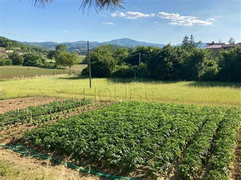 Vendita Terratetto Unifamiliare In Via Del Mattatoio Monterchi Da