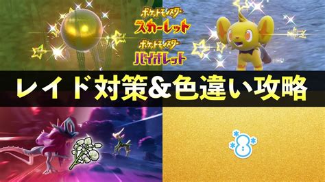 色違いゴールデン大量発生の厳選andレイド対策「ウネルミナモ＆テツノイサハ」を紹介【ポケモンsv藍の円盤】 Youtube