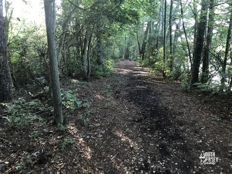 Belleplain State Forest Woodbine Nj South Jersey Trails