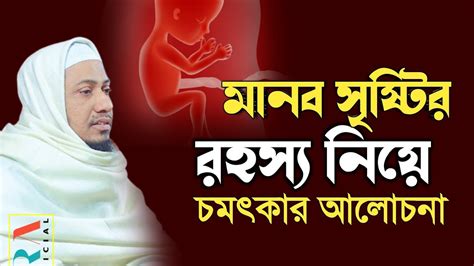 মানব সৃষ্টির রহস্য নিয়ে চমৎকার আলোচনা মাওলানা আনিসুর রহমান আশরাফী