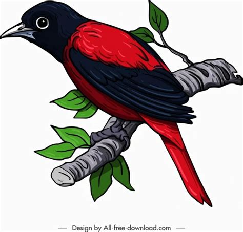 Sparrow Vectors Free Download 125 Editable Ai Eps Svg Cdr Files