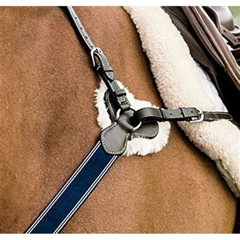 Dover Saddlery | Horse boots, Dover saddlery, Leather halter