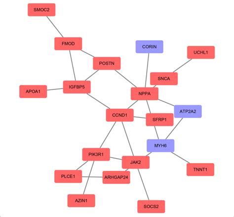 Protein Protein Interaction Ppi Networks Of The Degs Were