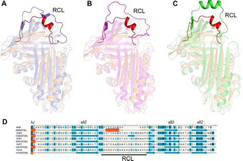 Close Up View Of Rcl A Comparision Of The Overallstructure Between