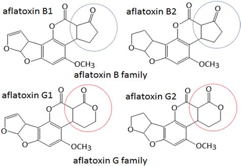 Toxins Free Full Text Development Of An Enzyme Linked Immunosorbent