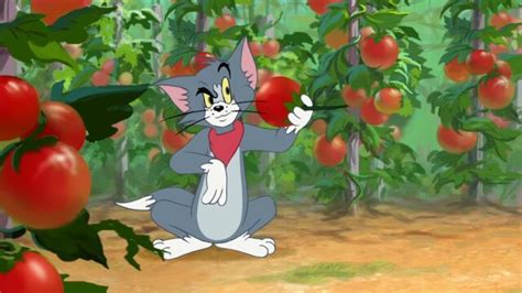 Watch Tom And Jerry Tales Summer Squashing League Of Cats Little Big