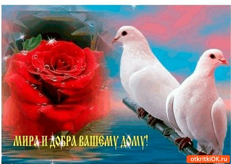 Мира и добра в вашем доме | Картинки, Смешные мотивационные цитаты ...