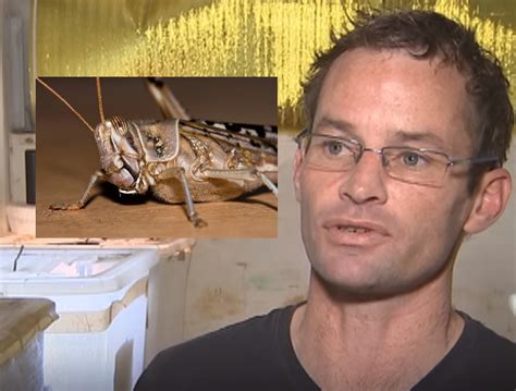 Video: Are Locusts the Food of the Future? - Ento Nation