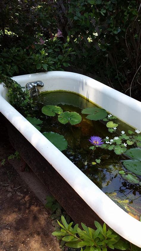 20 DIY Bathtub Garden Pond With Vintage Style OBSiGeN