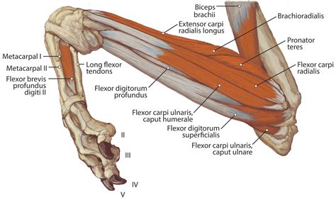 Figure 2 Image Eurekalert Science News Releases