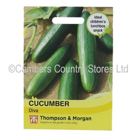 Thompson And Morgan Cucumber Diva Cambers Country Store