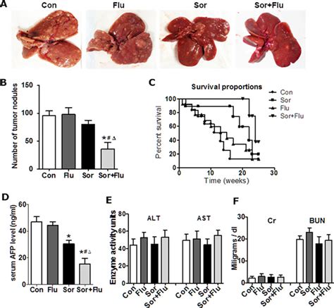 Synergistic Anti Tumor Efficacy Of Sorafenib And Fluvastatin In