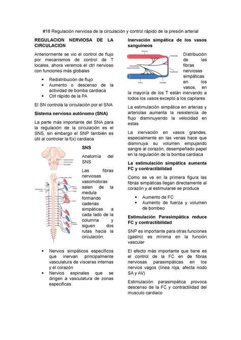 18 Regulación Nerviosa De La Circulación Y Control Rápido De La Presión Arterial 18