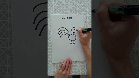 Dessiner Un Coq Youtube