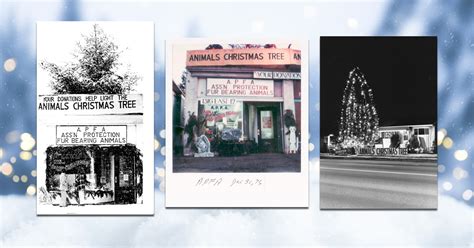 A Brief History: Christmas Tree For The Animals