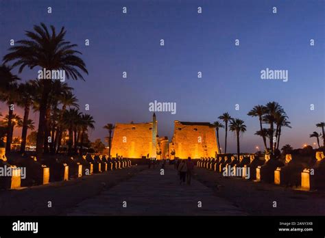 Lighting On First Phylon And Sphinxes Avenue In Evening Twilight Luxor