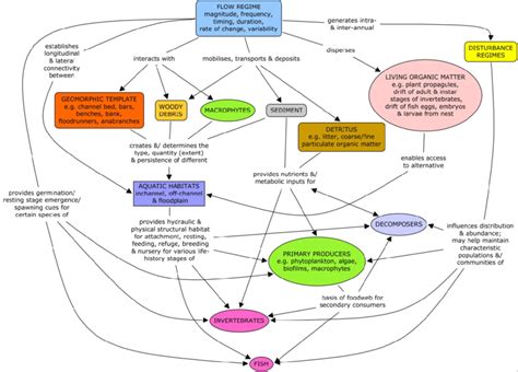 Simplified Conceptual Model Of Interactions Among Key Ecological