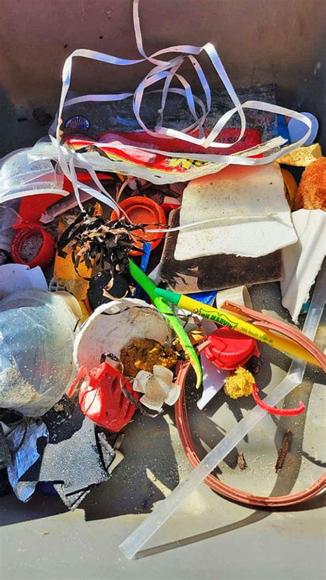 Marine Debris October Fishers Island Conservancy