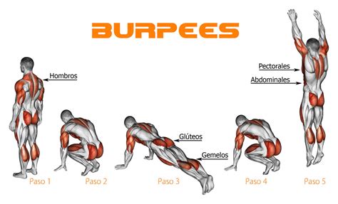 Burpees Los Mejores Ejercicios Para Adelgazar