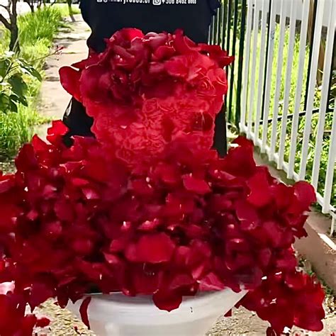 Oso Mensaje Sorpresa Luxury Roses Floristería Y Regalos En Costa Rica