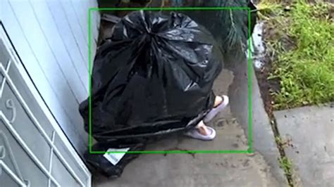 Watch Thief Disguised As Trash Bag Steals Package Livenow From Fox