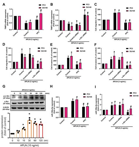 Cells Free Full Text Apelin Promotes Prostate Cancer Metastasis By