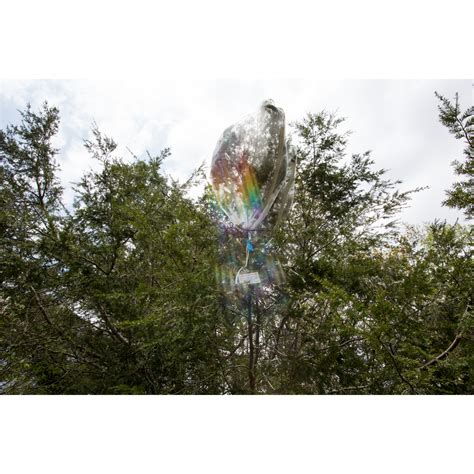 Working to save Catskill Hemlocks from Hemlock Wooly Adelgid, the