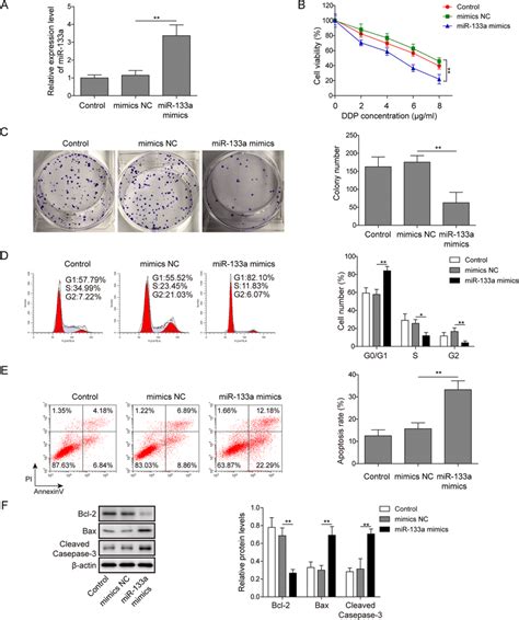 MiR 133a Treatment Enhanced The Sensitivity Of A549 DDP Cell To DDP A