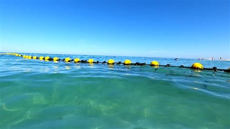 Esperance shark attack prompts familiar debate as shark net sees swimmers return to Cottesloe ...