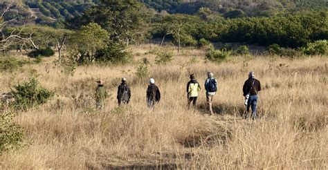 Likweti Bushveld Farm Estate Wildlife Residential Estate