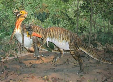 Stygimoloch Pictures & Facts - The Dinosaur Database