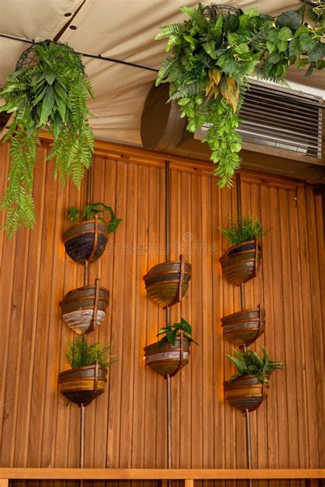 Cafe Interior With Elements Of Biophilic Design The Concept Of