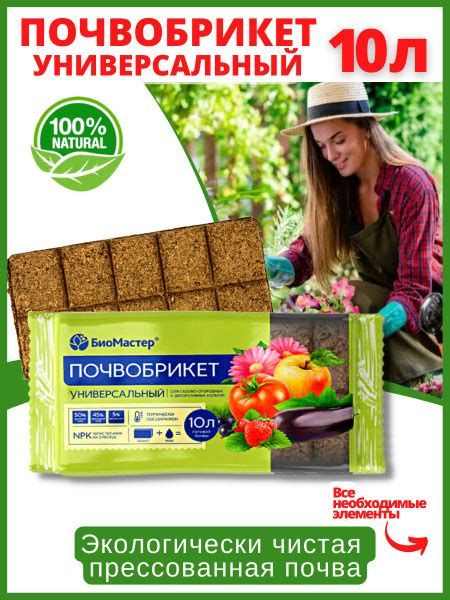 Почвобрикет "БиоМастер" Грунт Универсальный, 10 л - купить по низкой ...