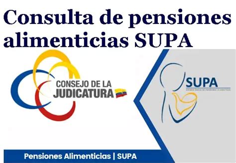 Consulta Pensiones Alimenticias Supa