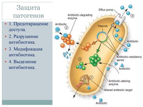 Патогенность микроорганизмов. (Лекция 8) - презентация онлайн