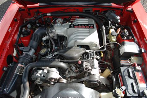 1993 Ford Svt Cobra 3 Barn Finds