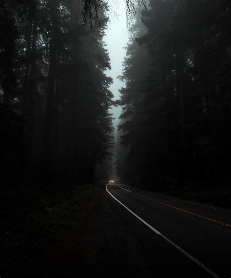 Dark, Trees, Night, Lights, Road, Fog, Headlights HD phone wallpaper ...