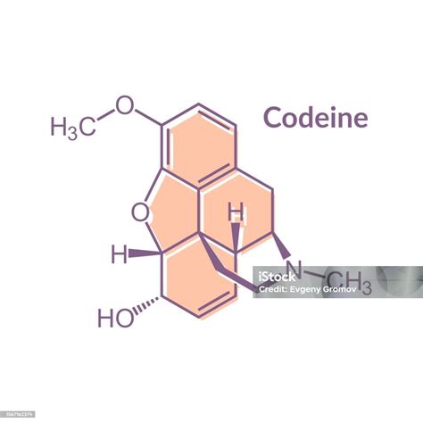 Molécule De Médicament Antidouleur Et Toux De La Codéine Formule